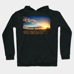 Sunny Disposition Hoodie